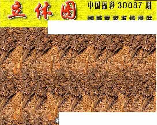 24087期: 3D蝴蝶世家蝴蝶彩图