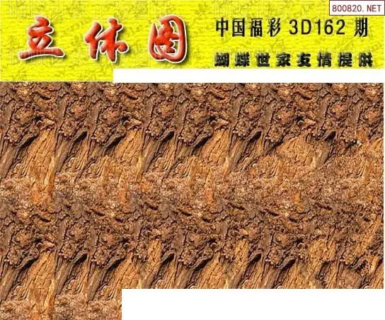 25162期: 3D蝴蝶世家蝴蝶彩图