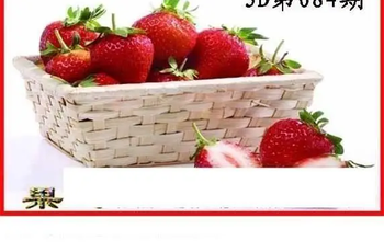 26084期: 白老3D杀码图版