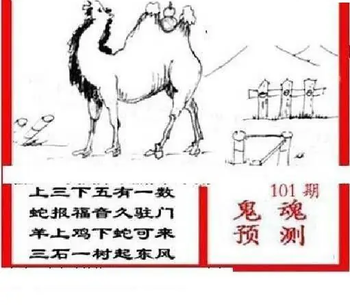 26101期: 三毛3D精品图谜