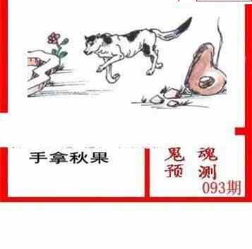 24093期: 白老3D杀码图版