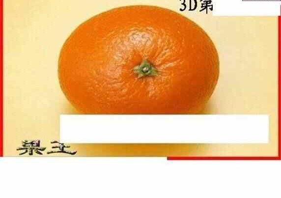 24128期: 白老3D杀码图版