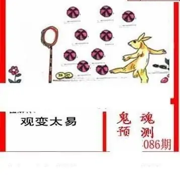 25086期: 白老3D杀码图版