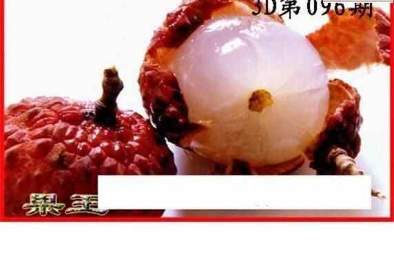 24096期: 白老3D杀码图版