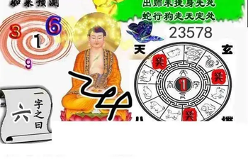 26016期: 白老3D杀码图版