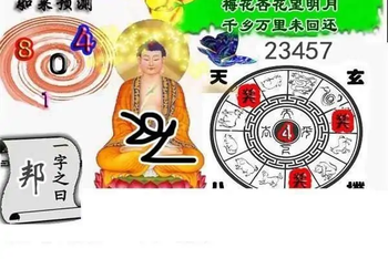 25350期: 白老3D杀码图版