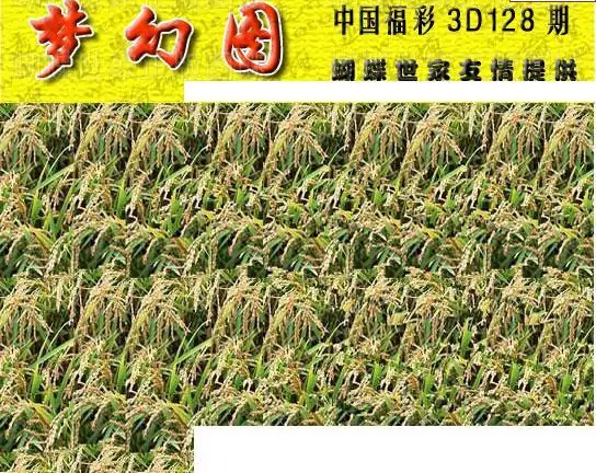 25128期: 3D蝴蝶世家蝴蝶彩图