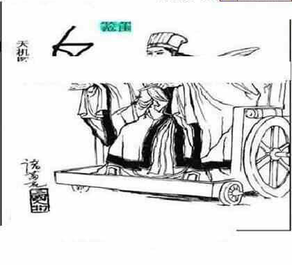 24104期: 三毛3D精品图谜