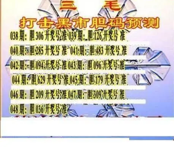 26048期: 三毛3D精品图谜