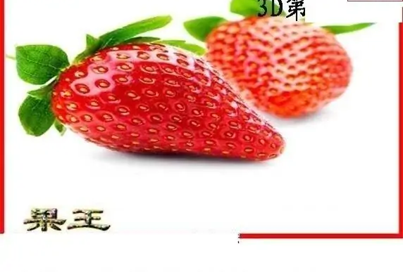 25142期: 白老3D杀码图版