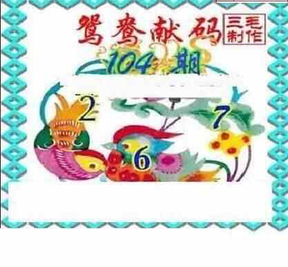 24104期: 三毛3D精品图谜