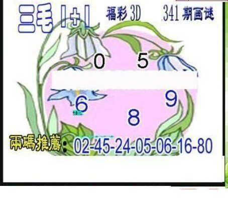 24341期: 三毛3D精品图谜