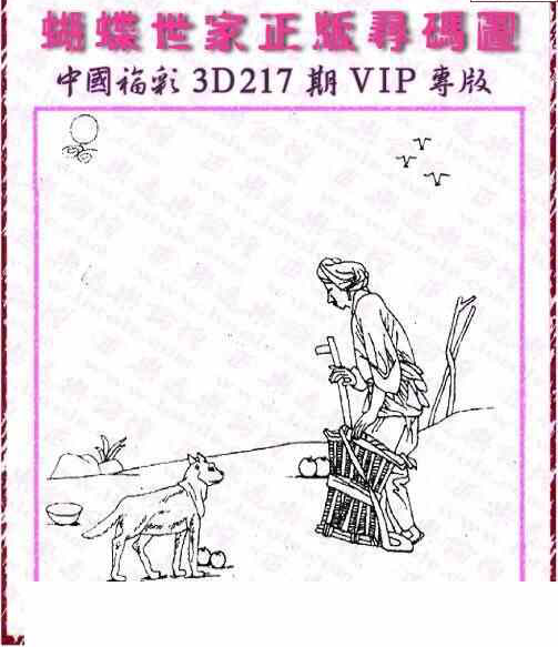 24217期: 3D蝴蝶世家蝴蝶彩图