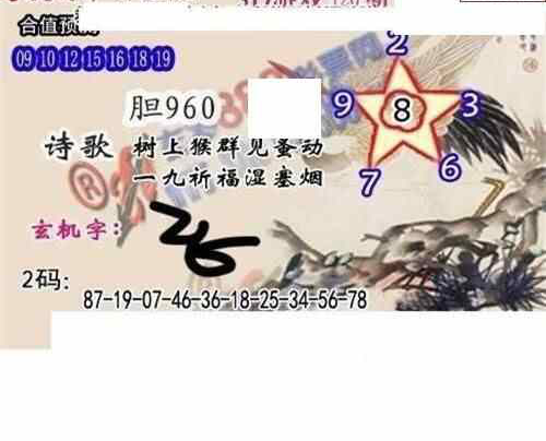 24120期: 白老3D杀码图版