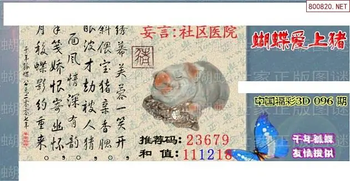 26096期: 3D蝴蝶世家蝴蝶彩图