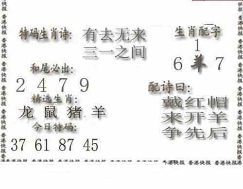 24110期: 白老3D杀码图版