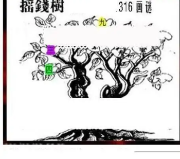 25316期: 三毛3D精品图谜