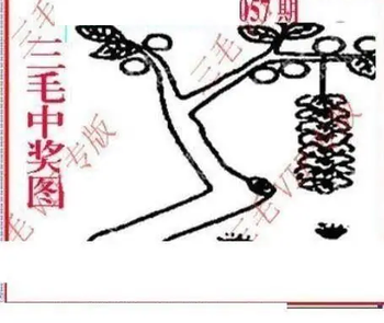 26057期: 三毛3D精品图谜