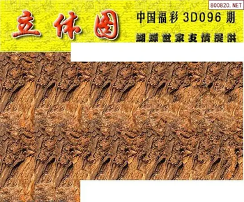 26096期: 3D蝴蝶世家蝴蝶彩图