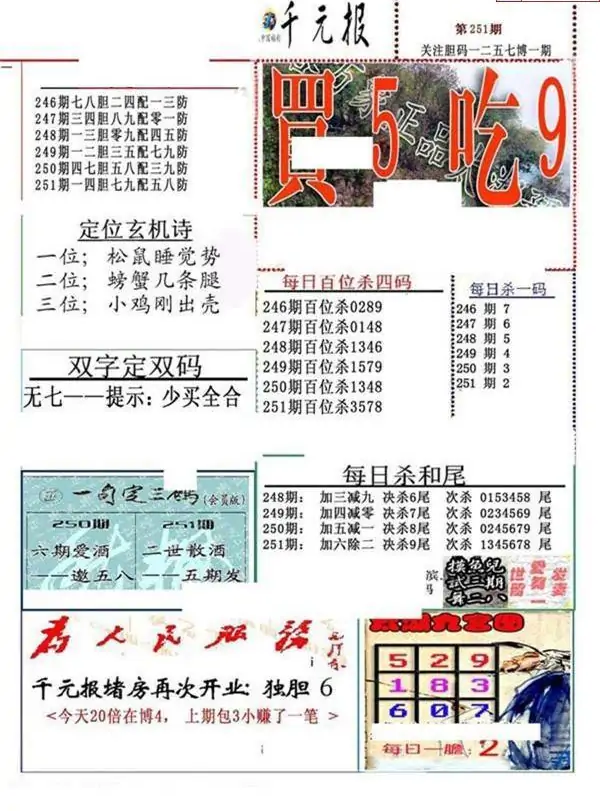 25251期: 福彩3D全套图版参考