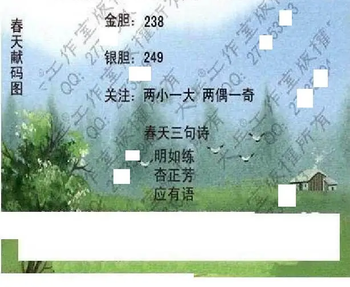 25348期: 大兵福彩3D黄金报图版