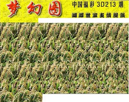 25213期: 3D蝴蝶世家蝴蝶彩图