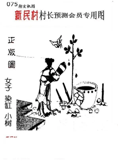 26075期: 老村长福彩3D天天图谜