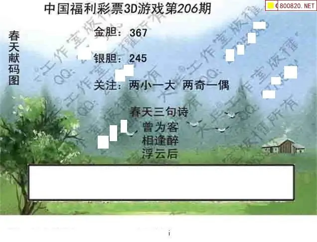 25206期: 大兵福彩3D黄金报图版