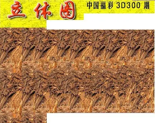 25300期: 3D蝴蝶世家蝴蝶彩图