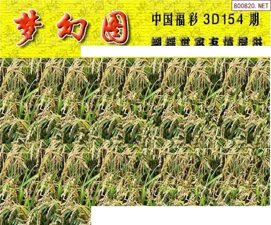 25154期: 3D蝴蝶世家蝴蝶彩图