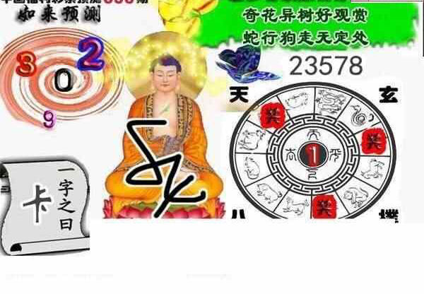 25056期: 白老3D杀码图版