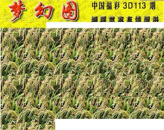 25113期: 3D蝴蝶世家蝴蝶彩图