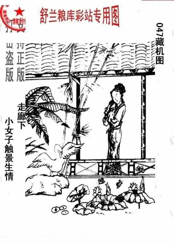 25047期: 老村长福彩3D天天图谜