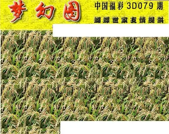 25079期: 3D蝴蝶世家蝴蝶彩图