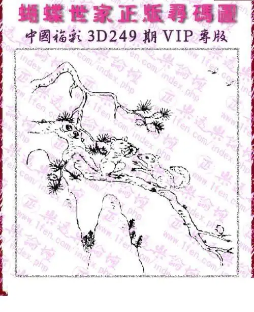 25249期: 3D蝴蝶世家蝴蝶彩图