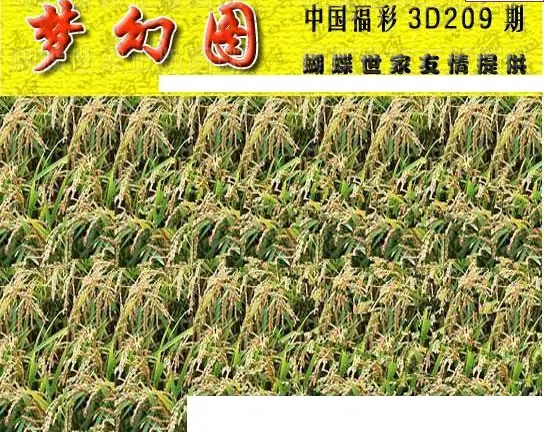 25209期: 3D蝴蝶世家蝴蝶彩图