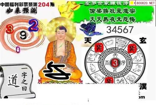 25204期: 白老3D杀码图版