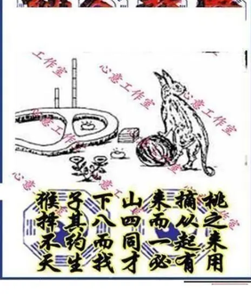 26064期: 三毛3D精品图谜