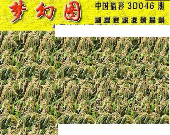 25046期: 3D蝴蝶世家蝴蝶彩图