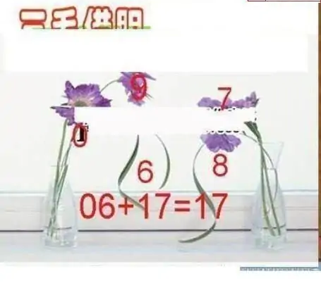 25073期: 三毛3D精品图谜