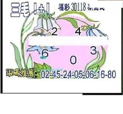 25118期: 三毛3D精品图谜