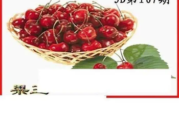 26107期: 白老3D杀码图版