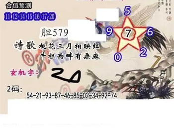 26066期: 白老3D杀码图版