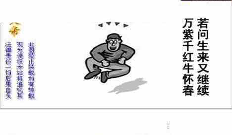 24229期: 白老3D杀码图版