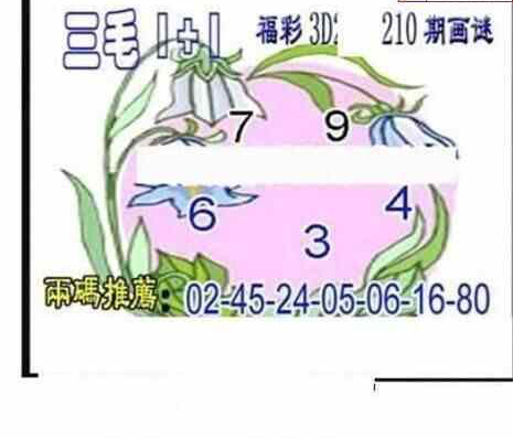 24210��: ��ë3D��Ʒͼ��