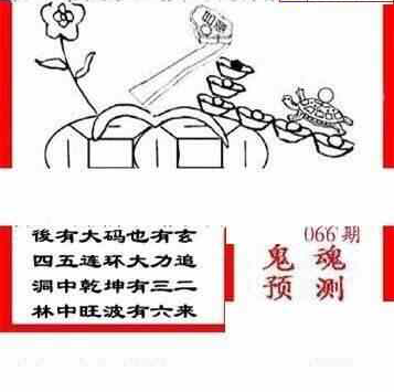 24066期: 三毛3D精品图谜