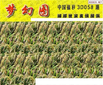 26058期: 3D蝴蝶世家蝴蝶彩图