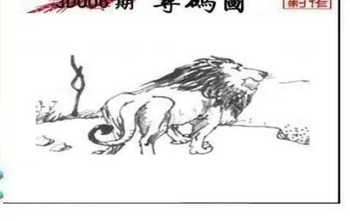 26006期: 三毛3D精品图谜