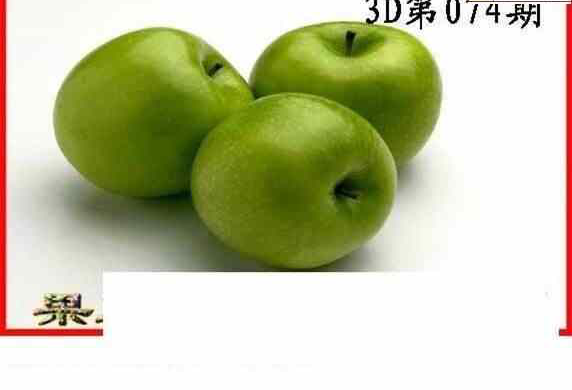 24074期: 白老3D杀码图版