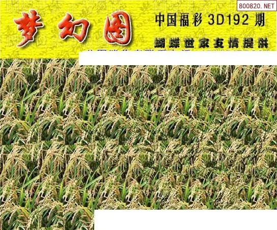 25192期: 3D蝴蝶世家蝴蝶彩图